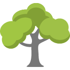 Dunnellon Tree Removal